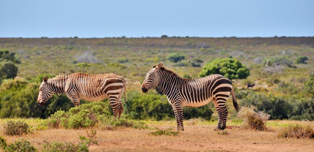 De Hoop Collection - Equipped Cottages De Hoop Nature Reserve 외부 사진